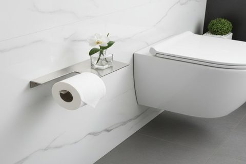 PASLANMAZ ÇELİK RAFLI TUVALET KAĞITLIK, GÜMÜŞ GRİ, 20102 CM