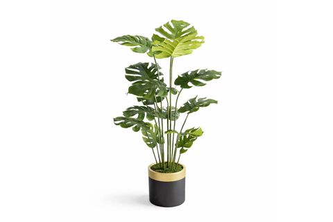 MONSTERA YAPRAKLI YAPAY SALON AĞACI, 165 CM