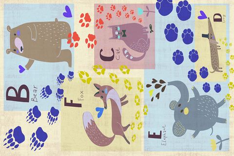AİDA HOME ZOO ÇOCUK HALISI, 80X150