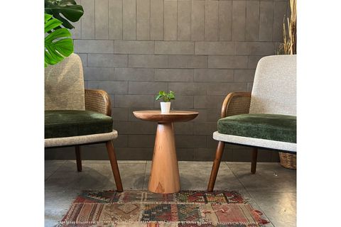 TEKLİ ZİGON MANTAR SEHPA MUSHROOM, KAYIN