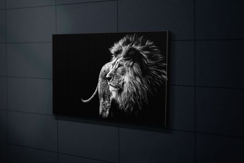 TABLO360 ASLAN KANVAS TABLO, 80X120