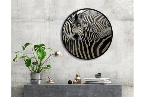 METAL ÇERÇEVELİ CİRCLE FRAMED ZEBRAS PARILTILI TABLO