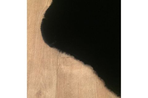 TAPPETO REX TAVŞANI POSTU, SİYAH, 75X100