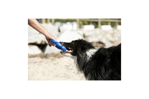 HULADOG BÜYÜK BOY KÖPEK OYUNCAĞI