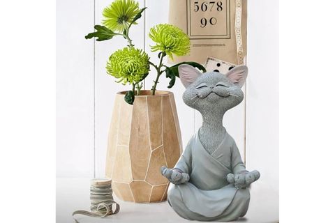 YOGA YAPAN KEDİ BİBLO, GRİ