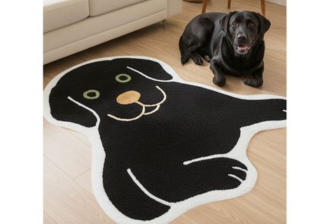 HAPPY DOG DOKUMA TABAN HALI, 434 YNG, 100X100 CM