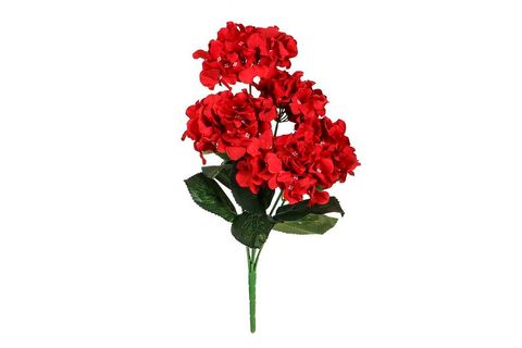 KIRMIZI MENEKŞE DEMETİ 20X50 CM