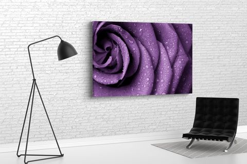 TABLO360 GÜL KANVAS TABLO 50X75