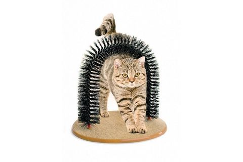 KEDİ TIRMALAMA VE KAŞINMA TÜNELİ