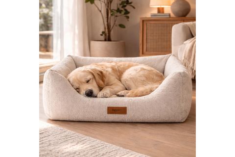 BONITA KÖPEK YATAĞI KREM L BEDEN 55X75X20
