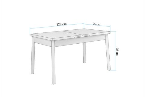 OLİVER MASA TAKIMI, BAROK SİYAH, 75X120