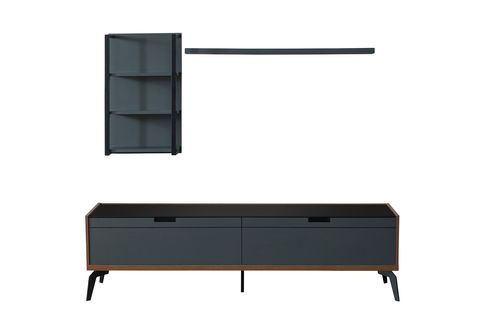 Tv Ünitesi, Raf Modül