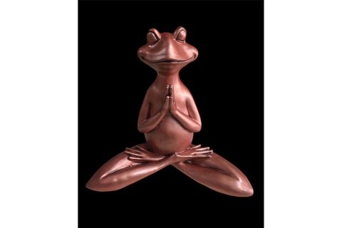 YOGA YAPAN KURBAĞA ELLERİ ÖNDE