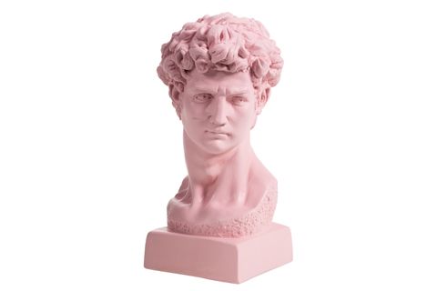 DAVİD BÜST PEMBE