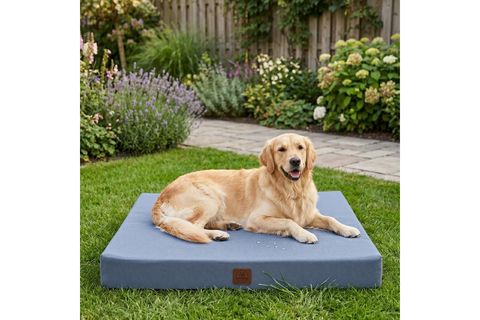LARISSA OXFORD WATERPROOF KÖPEK YATAĞI, GRİ, L BEDEN, 75X95X10 CM