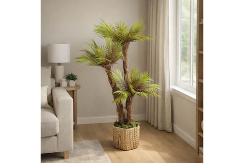 SKAES TROPİK YAPAY PALMİYE, 165 CM