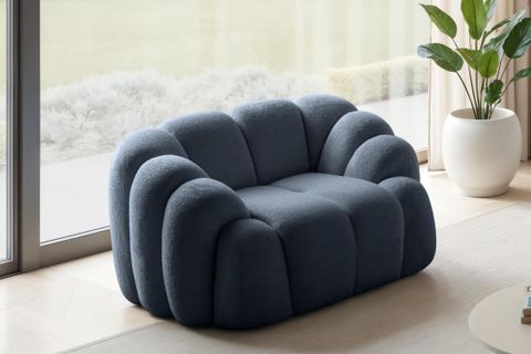 CALİFORNİA BERJER, LACİVERT