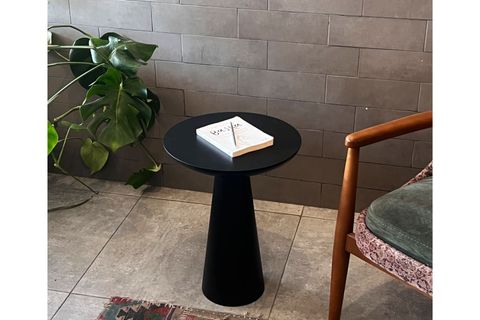 TEKLİ ZİGON MANTAR SEHPA MUSHROOM, SİYAH