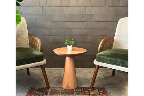 TEKLİ ZİGON MANTAR SEHPA MUSHROOM, KAYIN