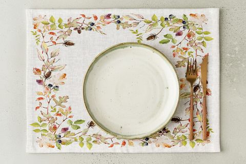 YABANİ TOHUMLAR PAMUKLU DÖRT ADET AMERİKAN SERVİSİ