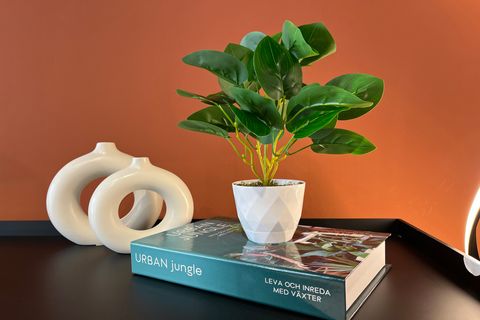 BEYAZ SAKSIDA OVAL YAPRAKLI YAPAY BİTKİ