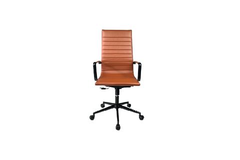 SANCAK OFİS BETY MÜDÜR KOLTUK, TABA