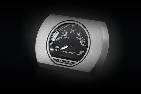 NAPOLEON ROGUE 365 GAZLI MANGAL