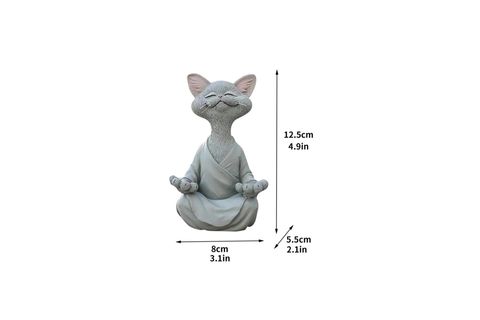 YOGA YAPAN KEDİ BİBLO, GRİ