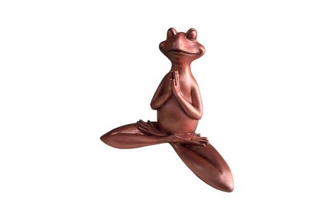 YOGA YAPAN KURBAĞA ELLERİ ÖNDE