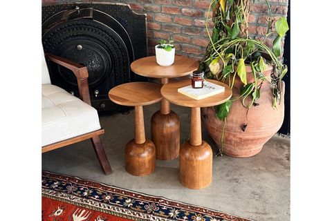 ZİGON MANTAR SEHPA, ÜÇLÜ, MEŞE TERRA