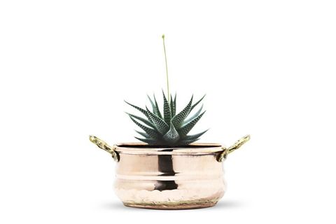 COHO ARTİSAN HEXAGON BAKIR SAKSI