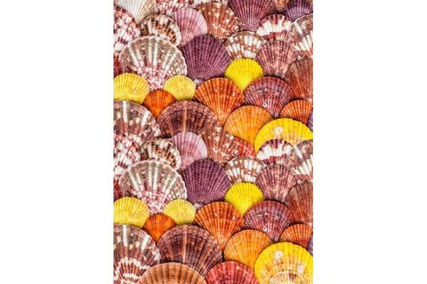 3D PANO KAYMAZ TABAN HALI 720 MULTİ 100X140