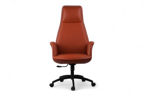 SANCAK OFİS FİRST YÖNETİCİ KOLTUĞU, TABA