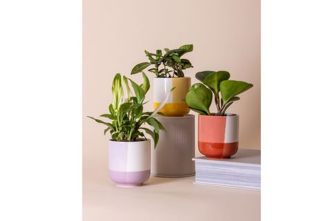 THE MİA PORSELEN SAKSI PEMBE 9X10 CM