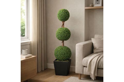 ŞİMŞİR AĞACI, ÜÇLÜ, 165 CM