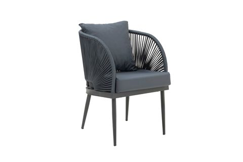 SİENA BAHÇE TAKIMI, ANTRASİT