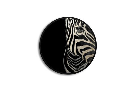 METAL ÇERÇEVELİ CİRCLE FRAMED ZEBRA EYE PARILTILI TABLO