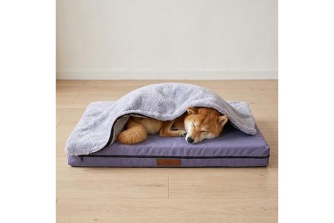 PURE COMFORT PILLOW GRİ, L BEDEN, 75X95X10 CM