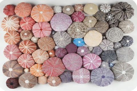 DİJİTAL BASKI, KAYMAZ TABAN İKİLİ BANYO PASPASI 100X60 + 60X50 CM  RVG5259