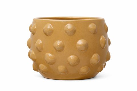 TERRA COTTA SAKSILIK