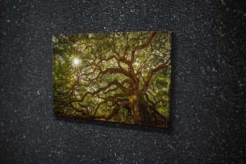 TABLO360 MELEK MEŞESİ KANVAS TABLO 80X120