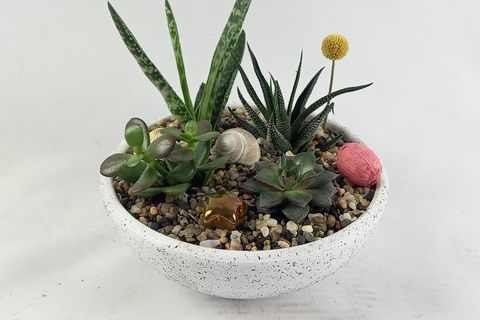 SUKULENT ARANJMAN NO 5