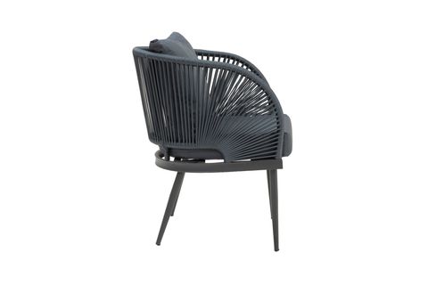 SİENA BAHÇE TAKIMI, ANTRASİT