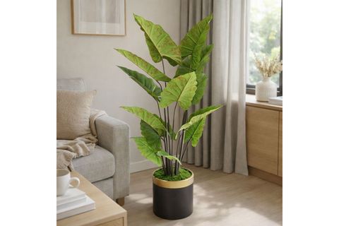 YAPAY ALOCASİA AĞACI, 165 CM