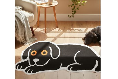 UYKUCU KÖPEK DOKUMA TABAN HALI, 430 YNG, 50X80 CM