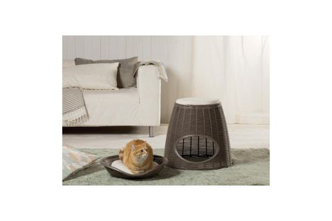 PASHA KEDİ KÖPEK EVİ