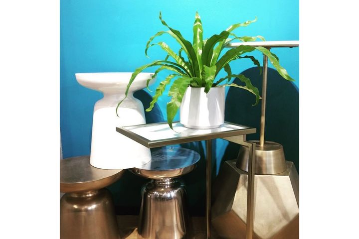 Venolta Bijzettafel, Wit