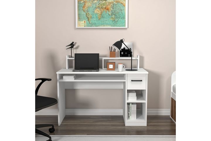 Arnetti Shari Bureau, Wit