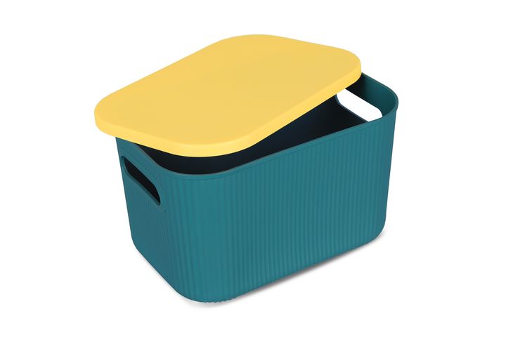 Homing Storage Box, Green & Yellow