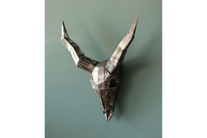 Buffel Schedel Wand Decor Object